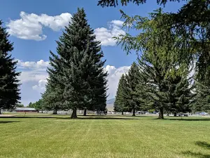 Stock Park