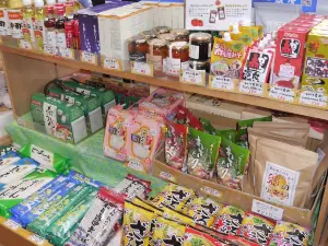 Roadside Station "Michi-no-Eki" Fudegaki-no-Sato Kota