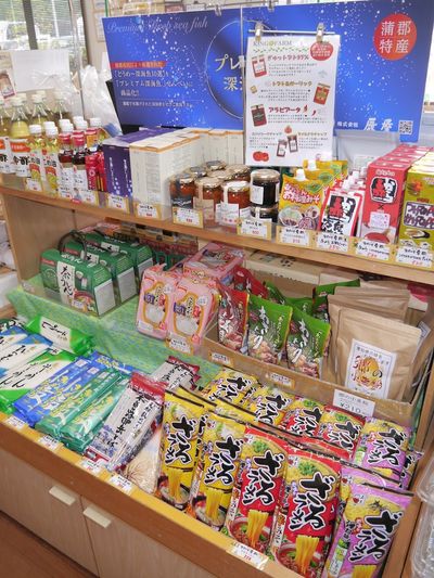 Roadside Station "Michi-no-Eki" Fudegaki-no-Sato Kota