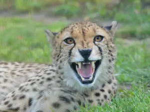 Ústí nad Labem Zoo