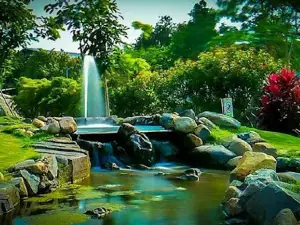 SLG Green Garden