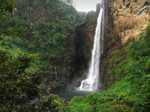 Sri Pada Wilderness Sanctuary | World Heritage Site of UNESCO