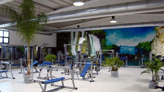 Palestra Branchini