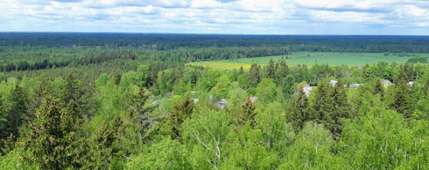 Alutaguse rahvuspark – Eesti noorim rahvuspark