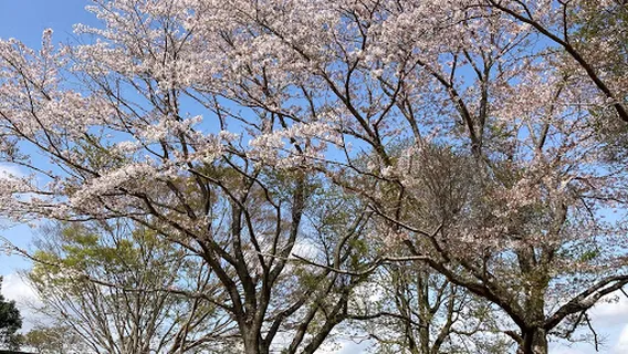 Obatakitayama Haniwa Craft Heritage