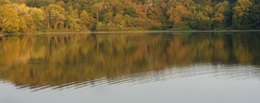Turkey Run Lake