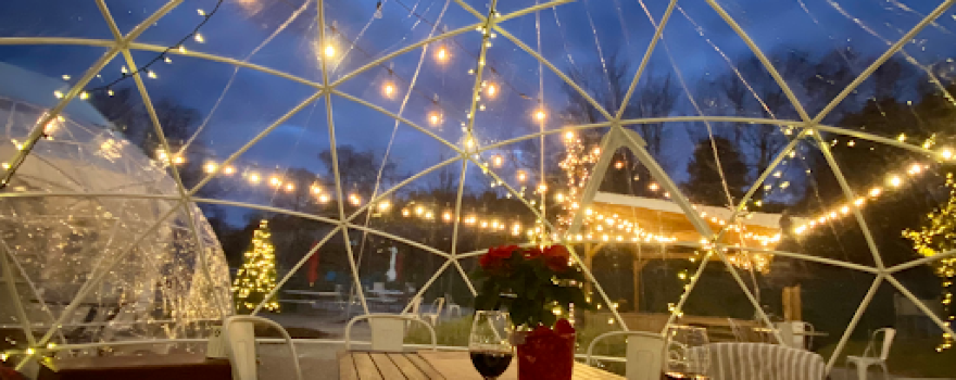 Bella Terra Vineyards