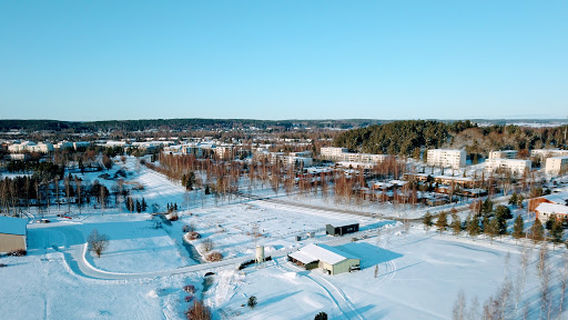 Salo