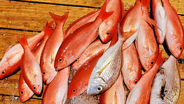 Into The Blue Charters