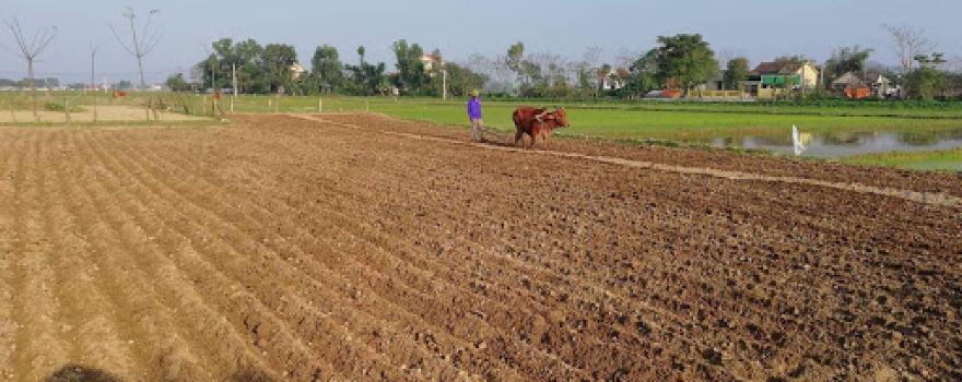 Hồ câu cá Hạnh Nam