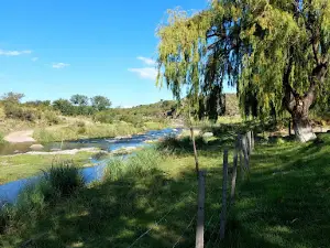 Camping Las Vertientes