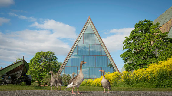 Norwegian Maritime Museum