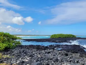 Popular Best Things to Do in Santa Cruz Island