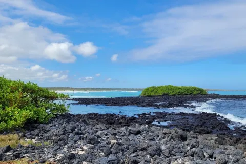Tortuga Bay
