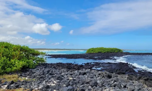 Tortuga Bay
