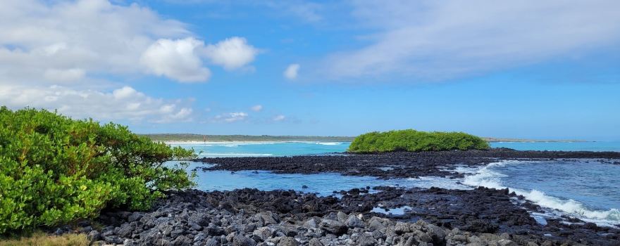 Tortuga Bay
