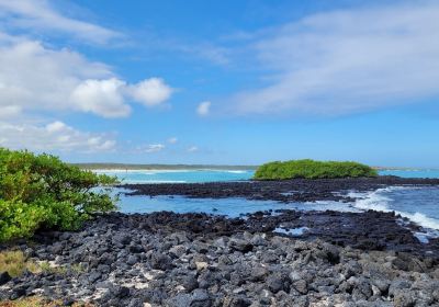 Tortuga Bay