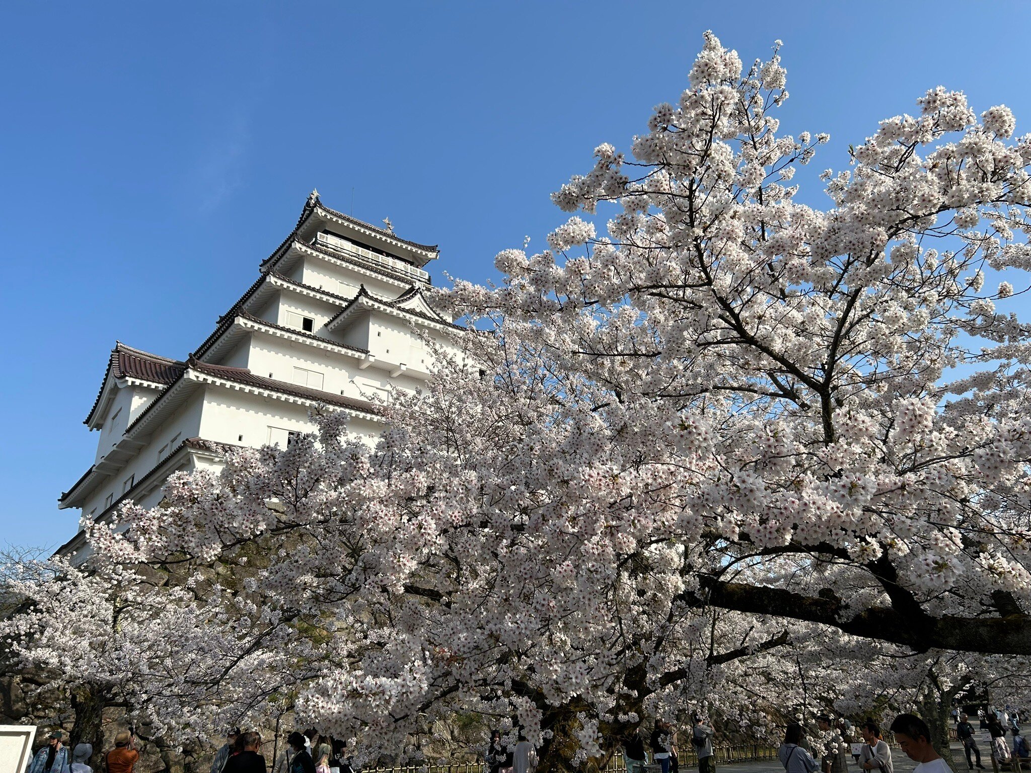 福島 鶴ヶ城 入場Eチケット 予約