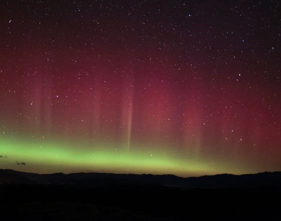 特威澤爾 自由行套票