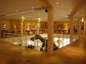 Museu de Paleontologia Placido Cidade Nuvens
