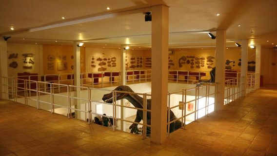 Museu de Paleontologia Plácido Cidade Nuvens