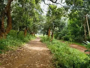 Karadiyur View Point