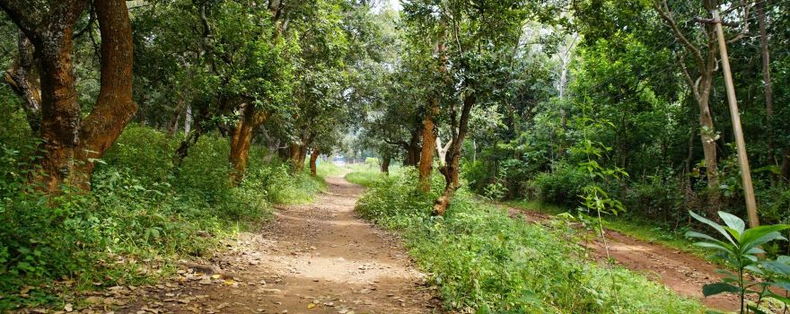 Karadiyur View Point