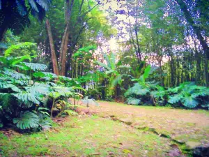 Laguna el Tabacal