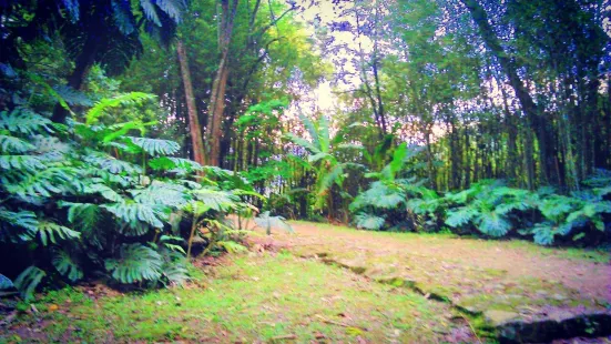 Laguna el Tabacal