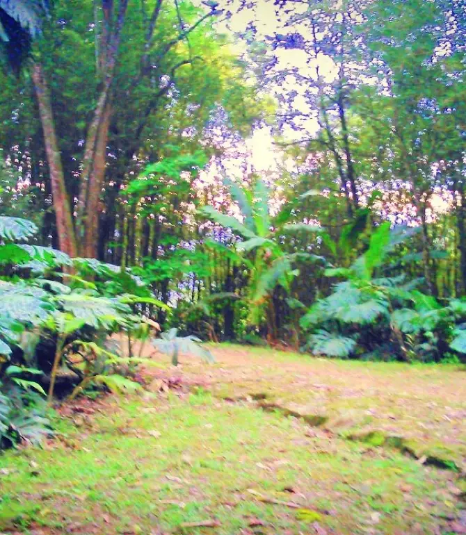 La Vega