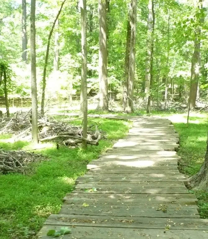 Greenbelt