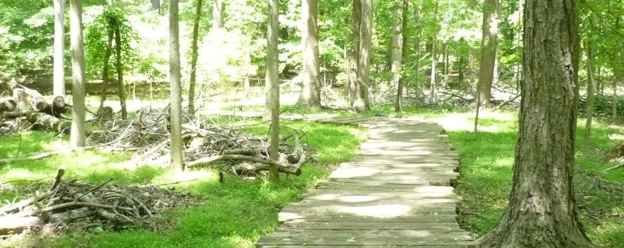 Greenbelt Park