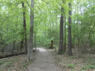 Morrisville