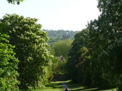 ファーナム・パーク