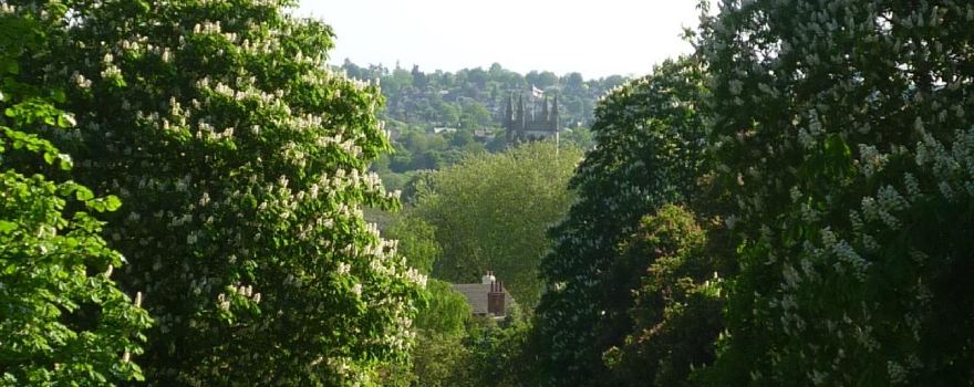 Farnham Park