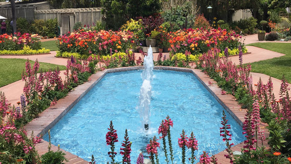 Sherman Library & Gardens