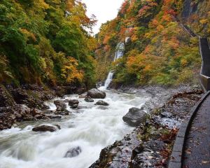 香港-湯澤市 機票酒店 自由行