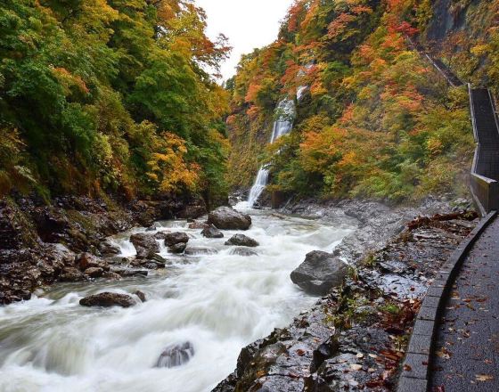 湯澤市 自由行套票