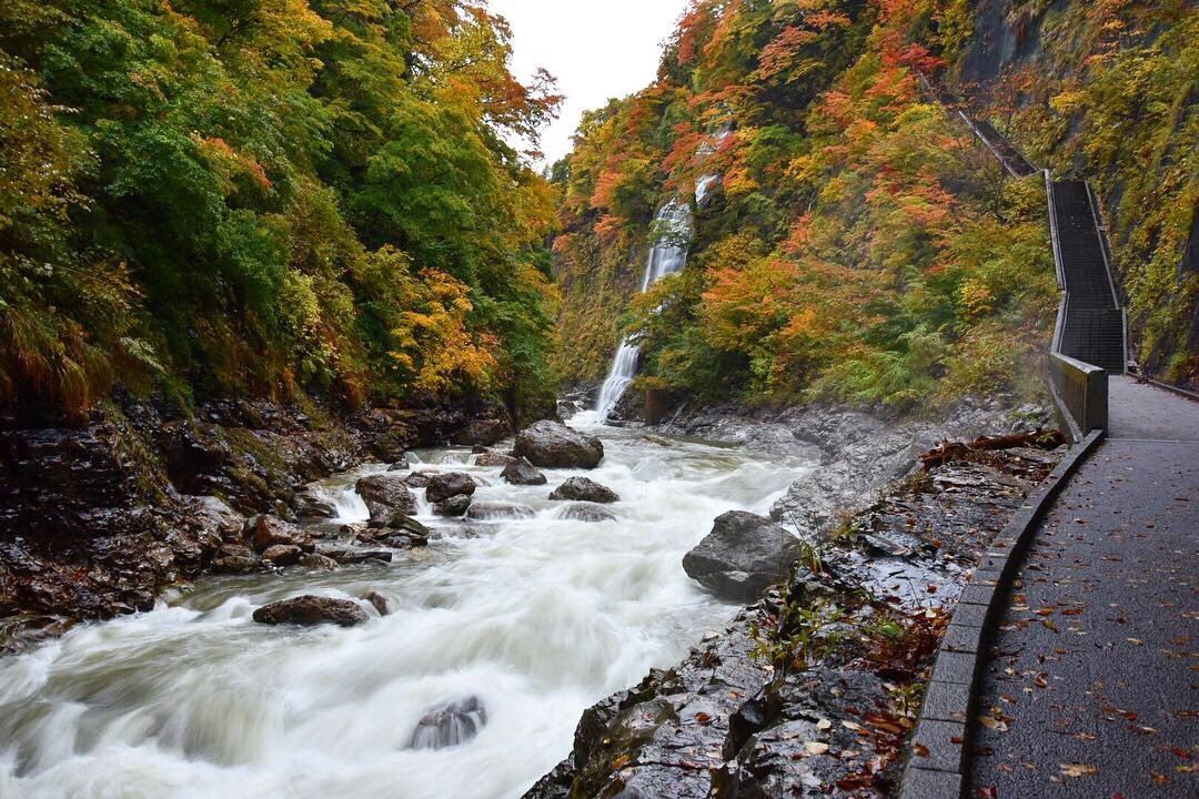 Yuzawa