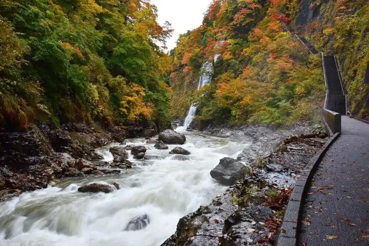 Yuzawa