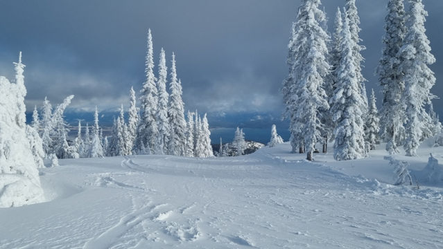 Blacktail Mountain Ski Area