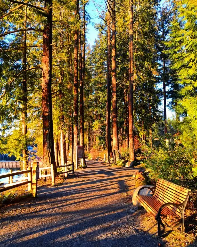 Hotels near Pine Lake Park