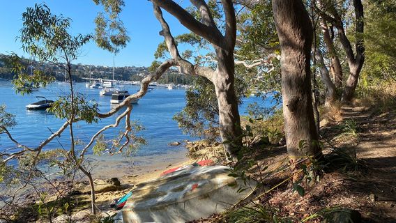 The Spit To Pulpit Rock Walk