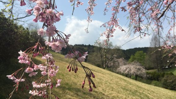 Mitsuse Le Vert Farm Dongurimura Village ("Acorn Village")