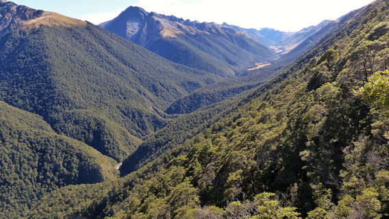 Lindis Pass
