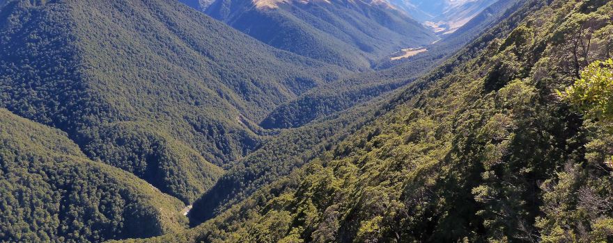 Ahuriri Conservation Park