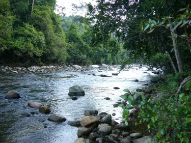 Kusial