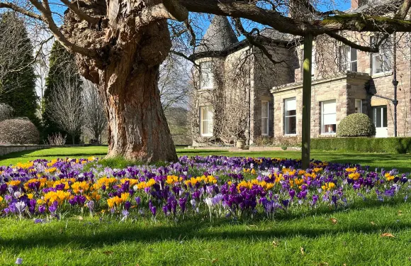 Brobury House Gardens