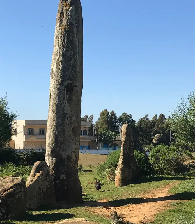 Mzoura