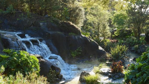 Whangarei Quarry Gardens